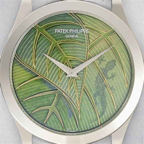 Patek Philippe Calatrava Tropical Forest .